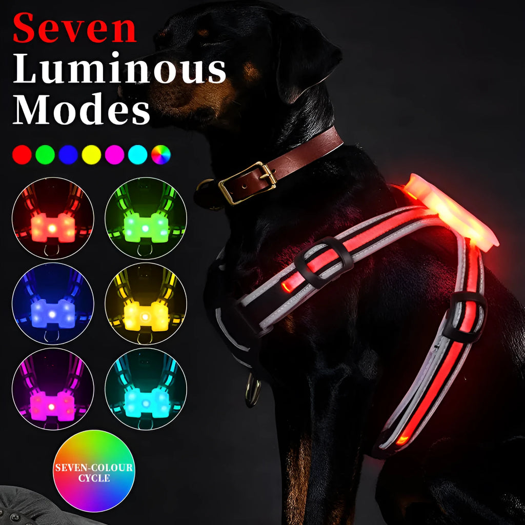Seven-colour changing LED dog walking lead with USB charging cable in waterproof nylon