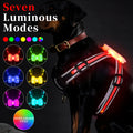 Seven-colour changing LED dog walking lead with USB charging cable in waterproof nylon