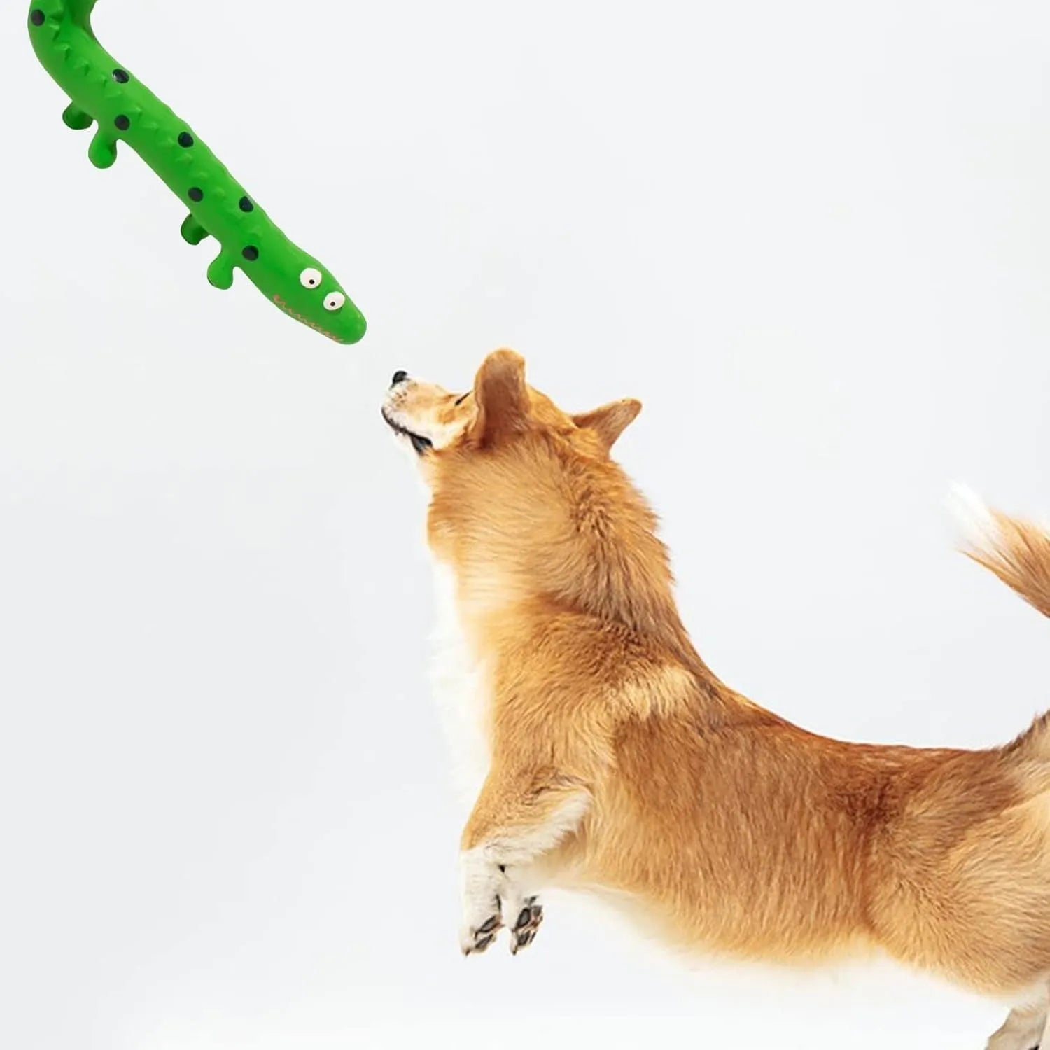 Green latex lizard-shaped dog chew toy with squeaker for aggressive chewers
