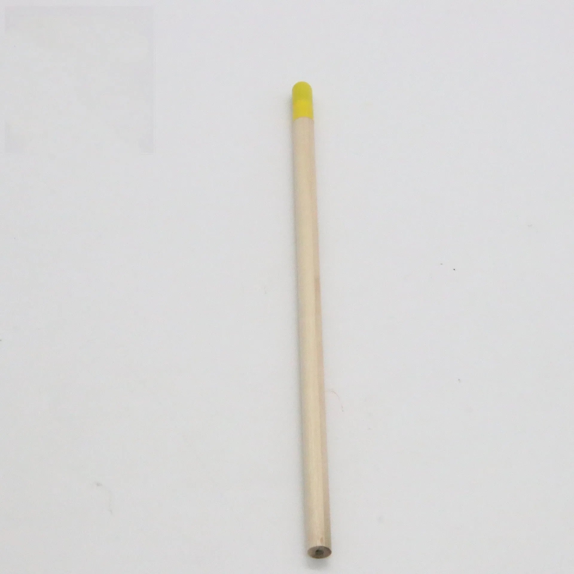 Seed pencil with degradable plant capsule containing herb, flower, or vegetable seeds
