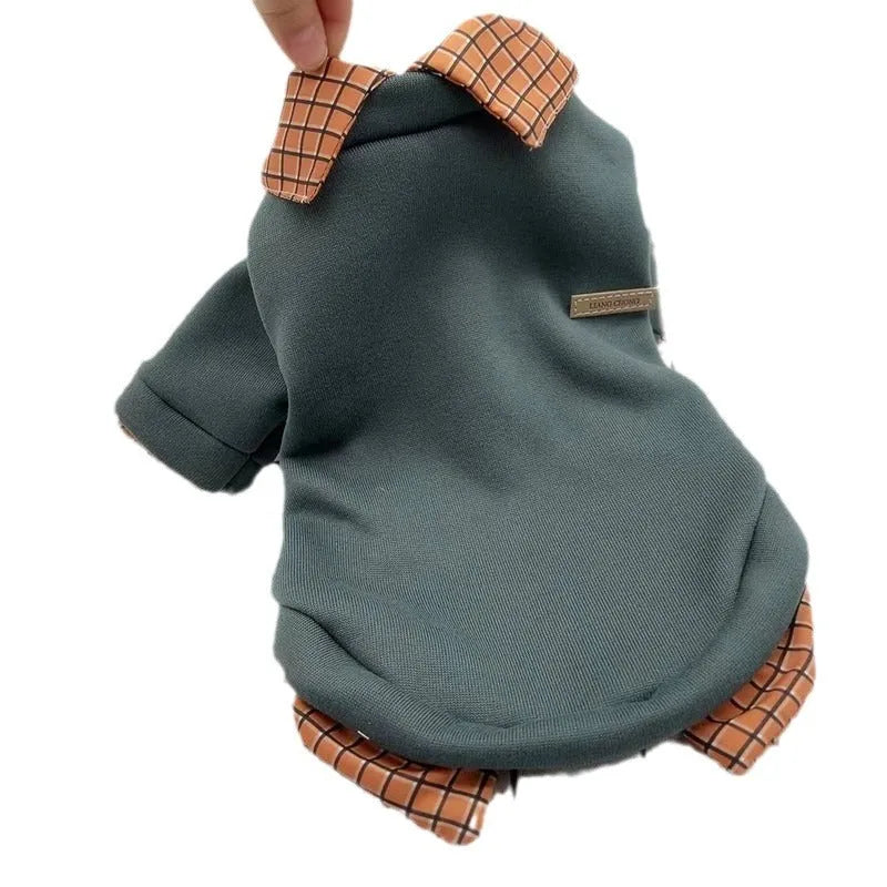 Grey dog wearing two-piece sweater with detachable collar in polyester velvet material