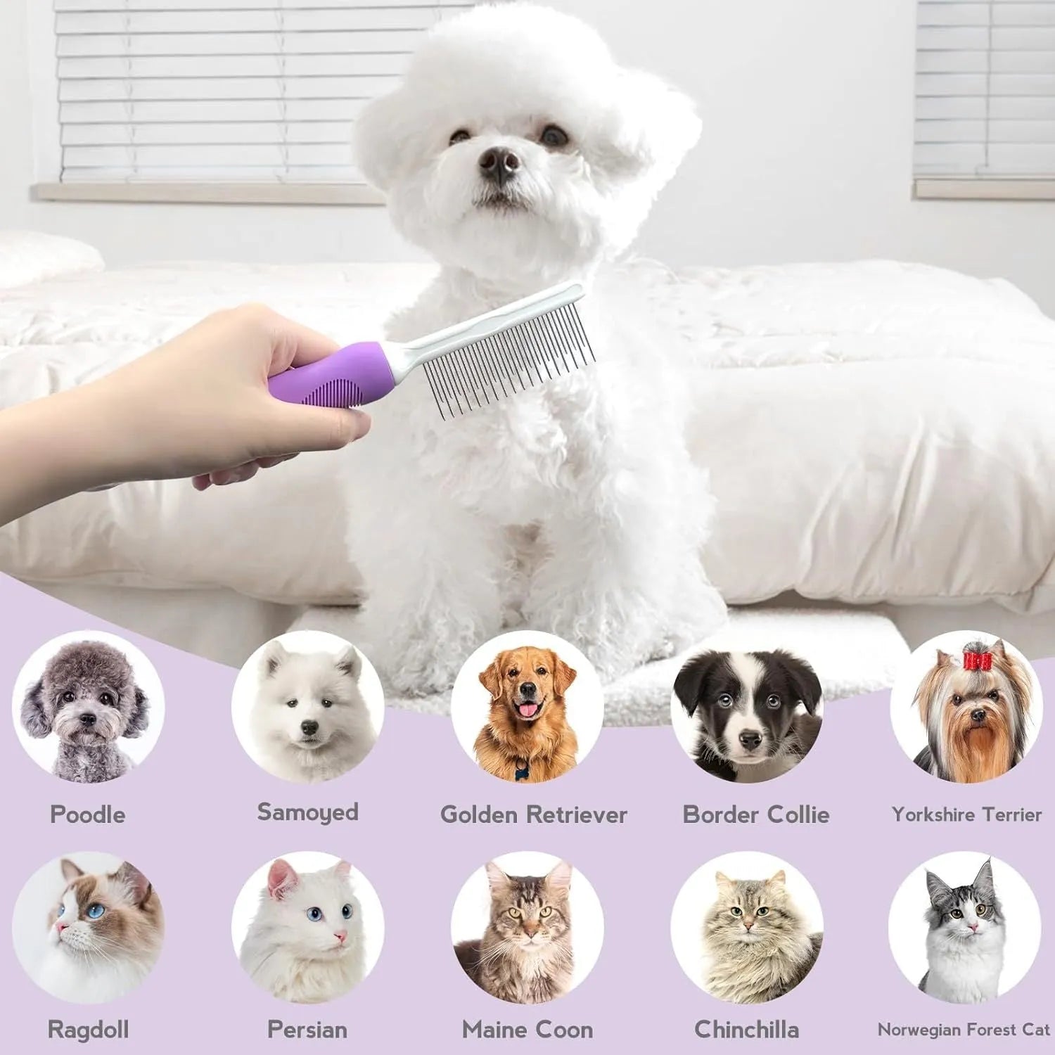 Purple pet detangling comb with stainless steel teeth for grooming cats and dogs