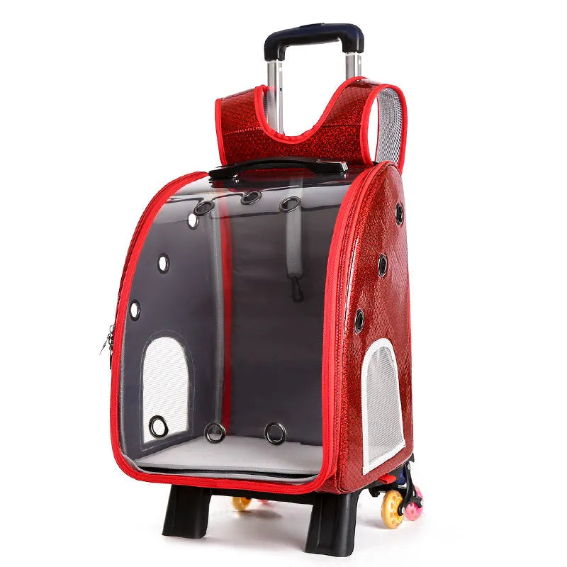 Transparent pet trolley bag with folding shoulder design for small dogs and cats