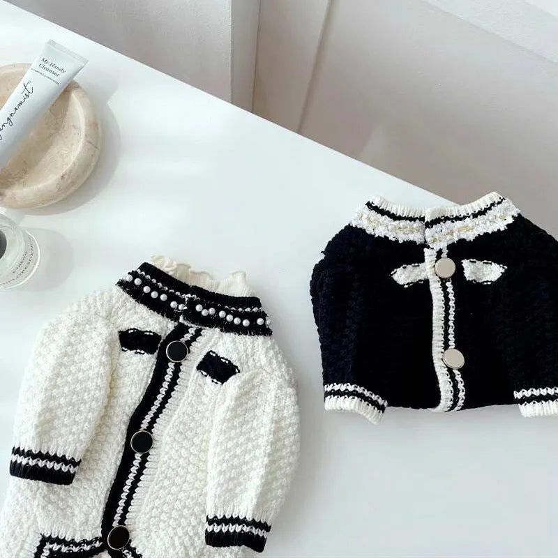 White Korean-style dog sweater with pearl collar detail on a small dog, showing the princess cut and knitted texture.