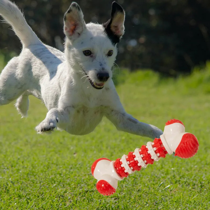 Blue bone-shaped interactive dog chew toy with a treat holder in the centre, for small breeds.