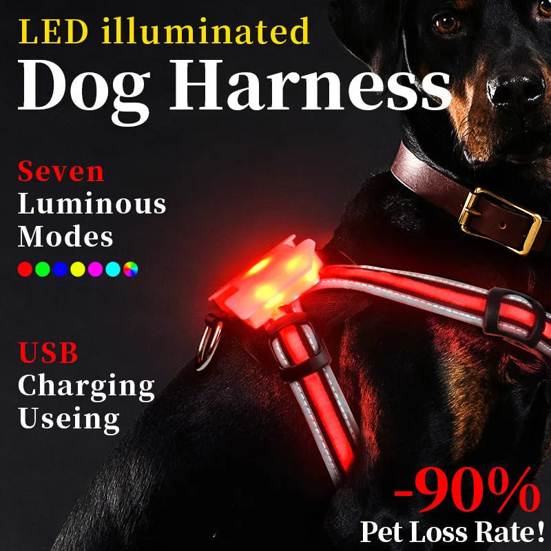 Seven-colour changing LED dog walking lead with USB charging cable in waterproof nylon