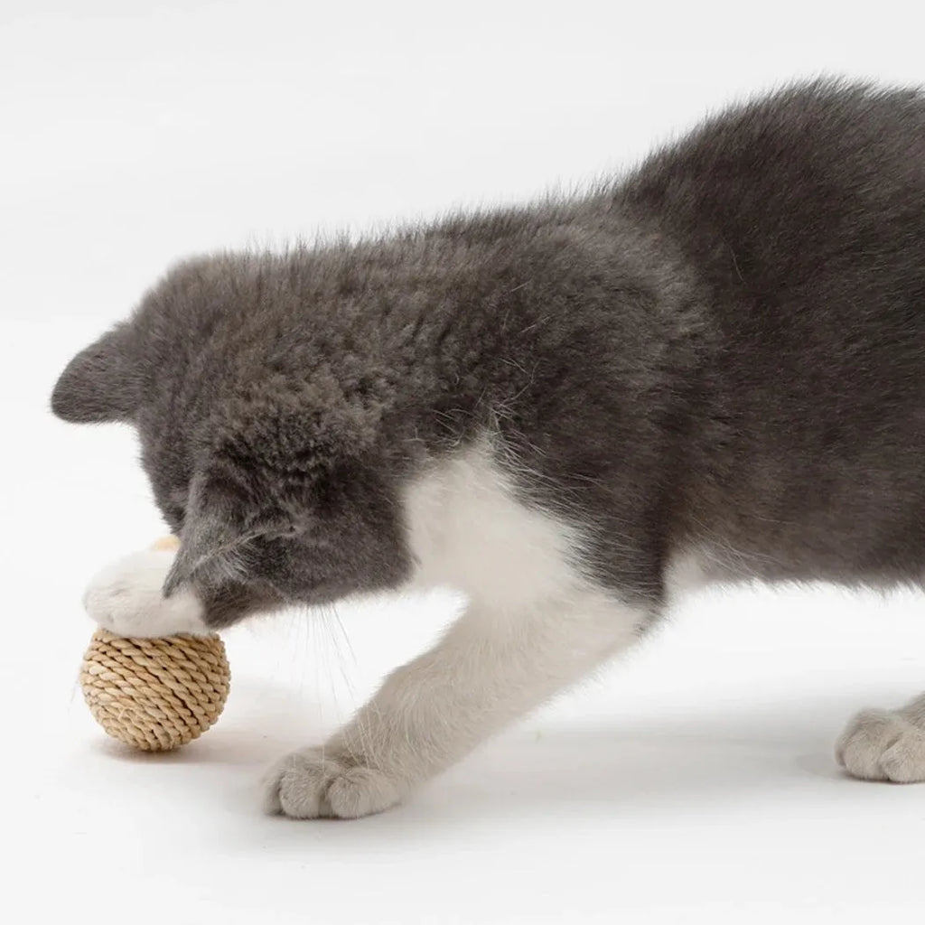 Two cat toys: rattan ball with bell and faux feather ball on rattan base for interactive feline play