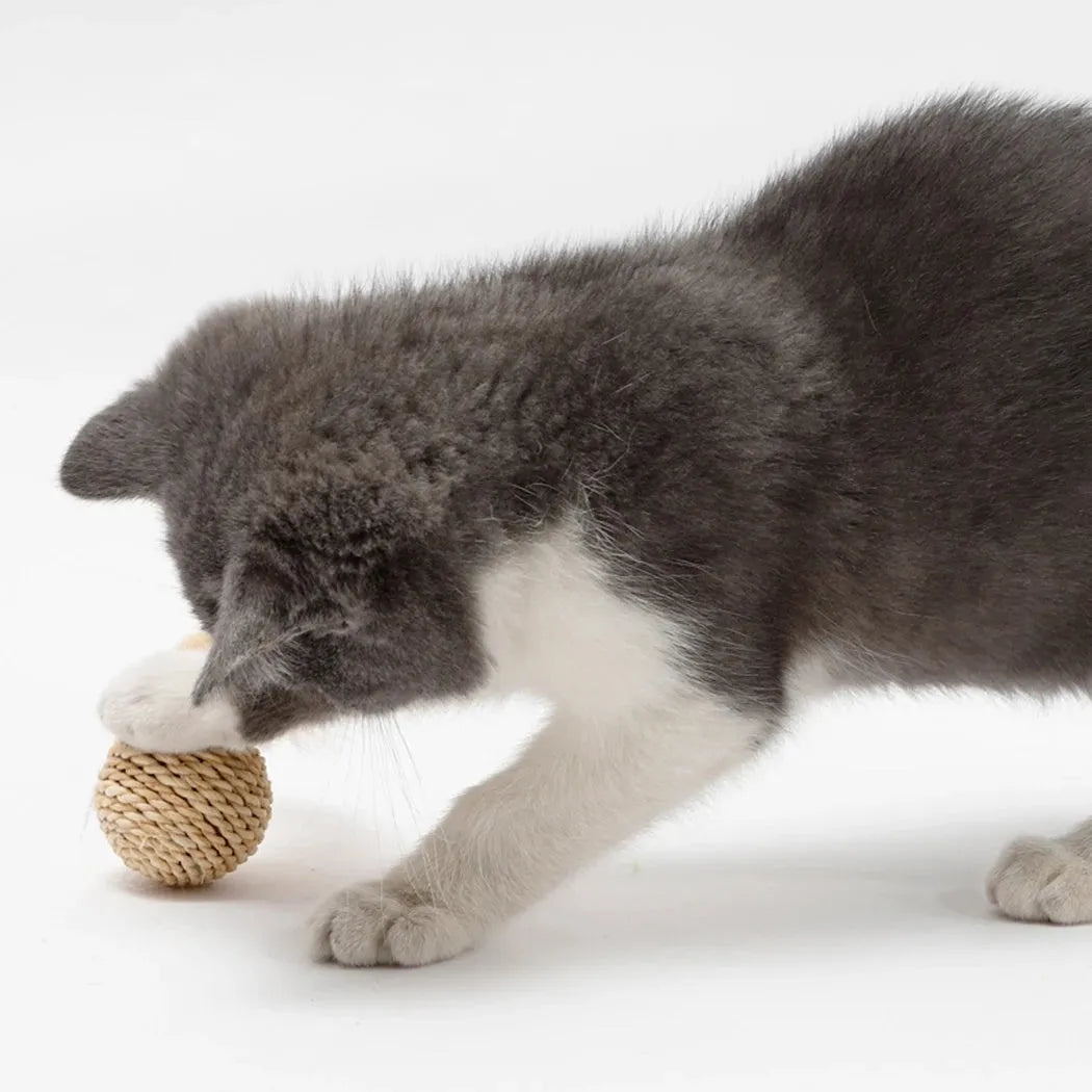 Two cat toys: rattan ball with bell and faux feather ball on rattan base for interactive feline play