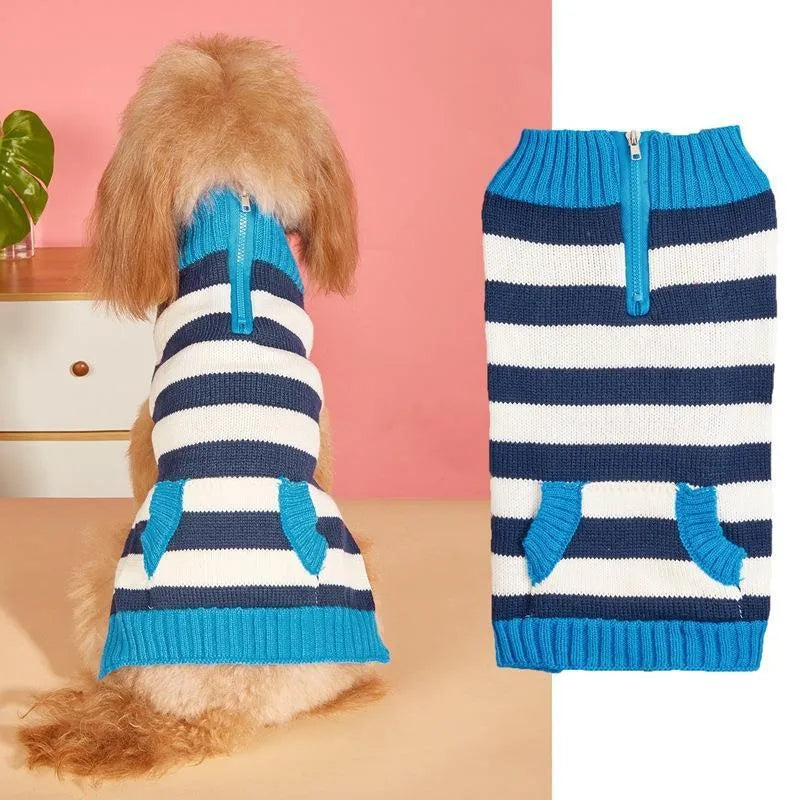 Grey knitted dog sweater on a small dog, showing a contrasting green horizontal zipper and a button chest pocket.