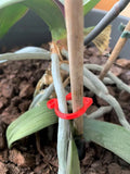 Small green cat-shaped plastic plant clip for supporting vines and stems in the garden.