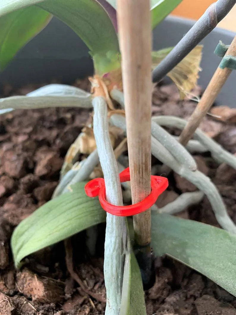 Small green cat-shaped plastic plant clip for supporting vines and stems in the garden.