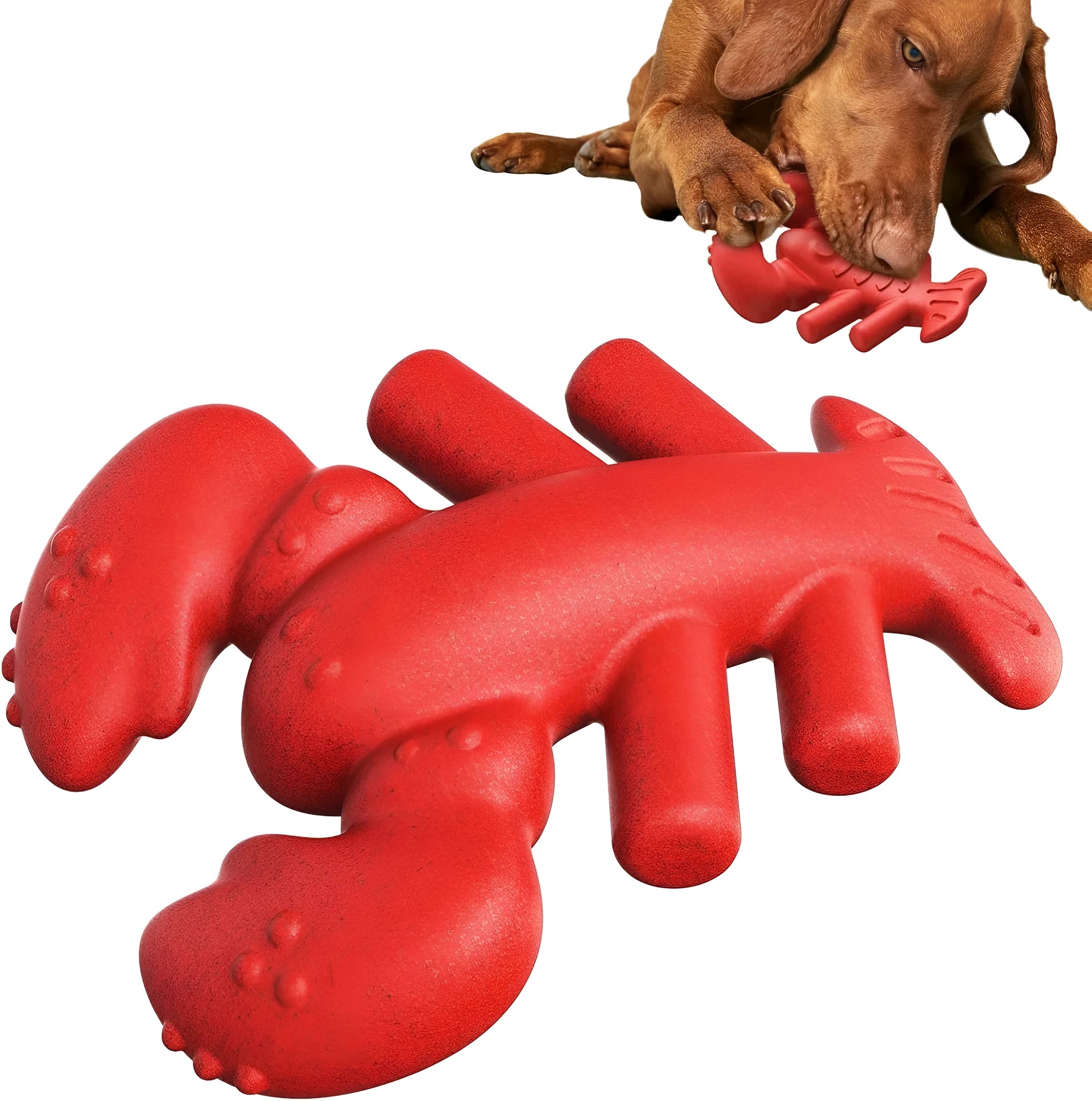 Red nylon chew toy for large breed dogs measuring 170mm long for aggressive chewers