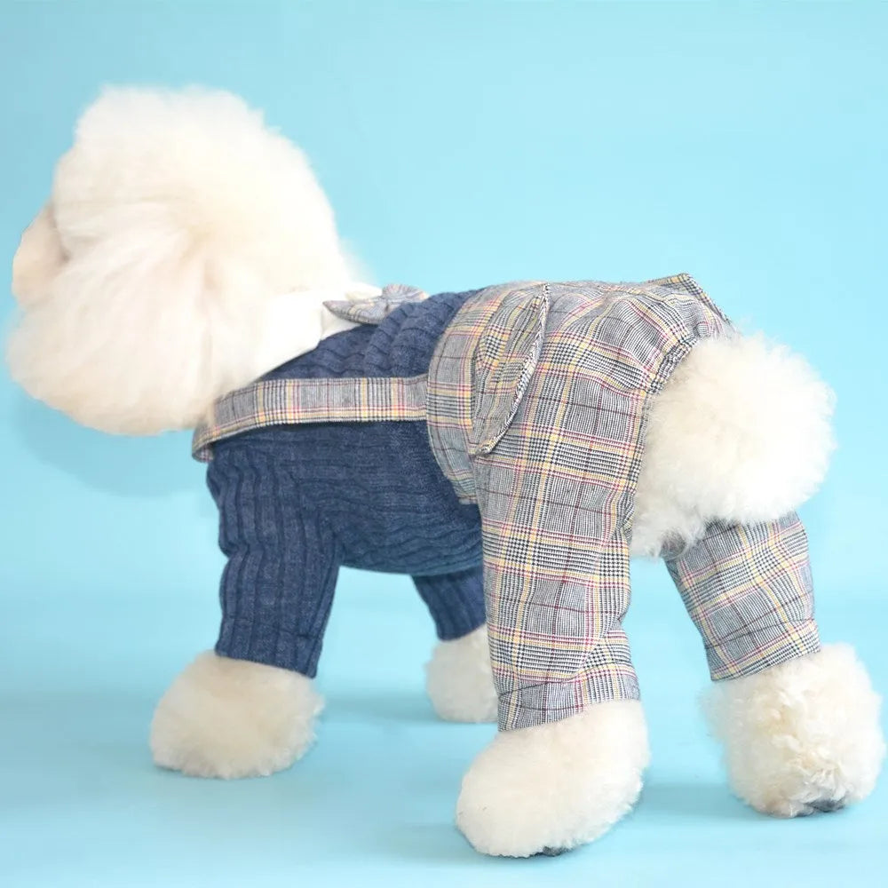 Orange and dark blue cotton dog shirt for small breed dogs in sizes S to 2XL