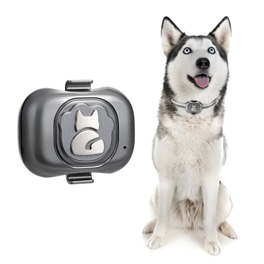 Black GF-07 pet GPS tracker and locator device with hanging rope.
