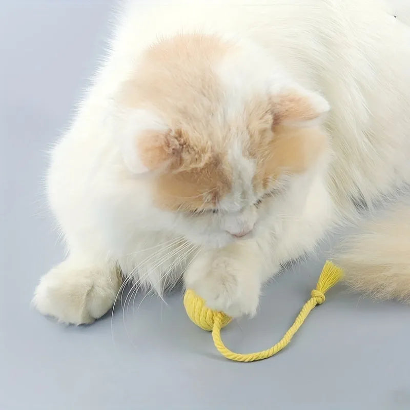Cat toy ball with rope and bell inside in green, pink, purple, and yellow colours