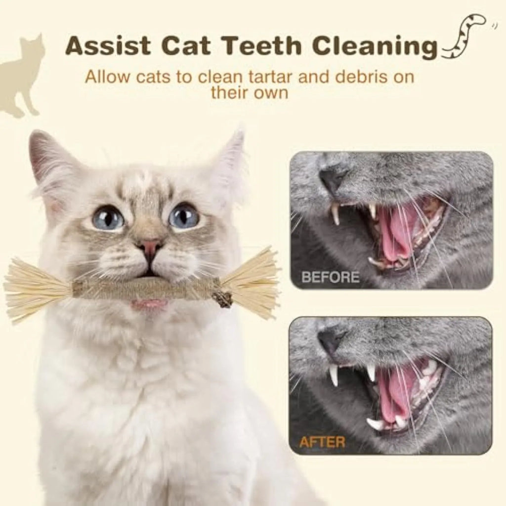 Three natural silvervine sticks for cats dental chew toys showing thick and fine diameter options