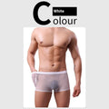 Men's mesh boxer briefs in thin polyester fabric with low-waist design