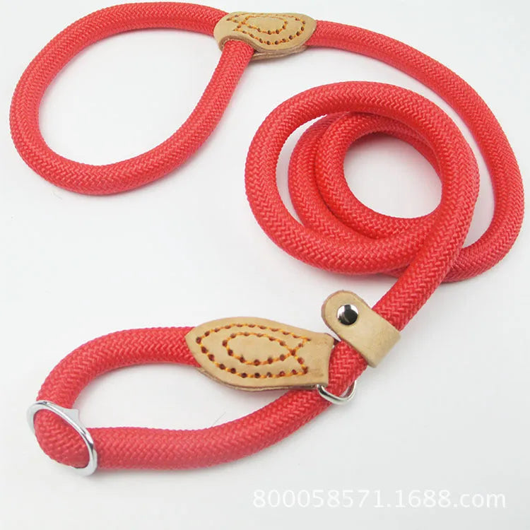 Brown nylon dog leash with P-chain connection showing 2.1 metre length