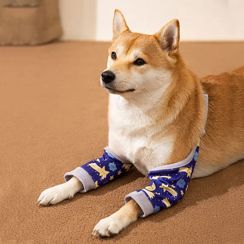 Blue dog knee protector pad with adjustable straps and matching scarf on medium dog