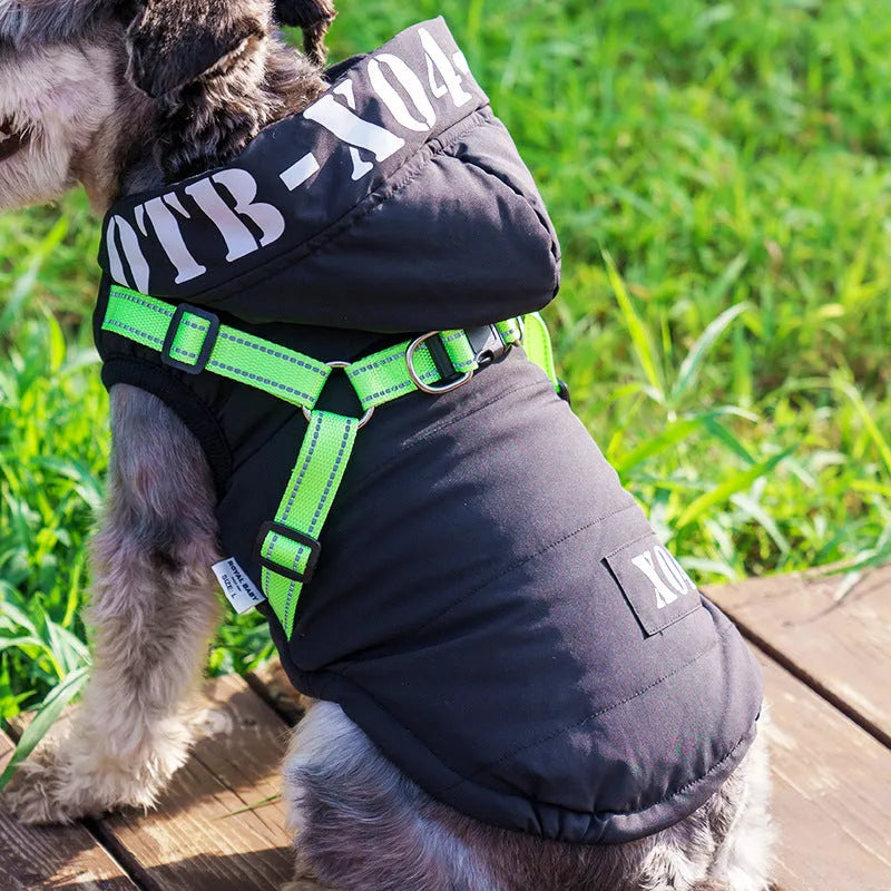 Red waterproof fleece-lined hooded winter jacket for a dog on a size guide.