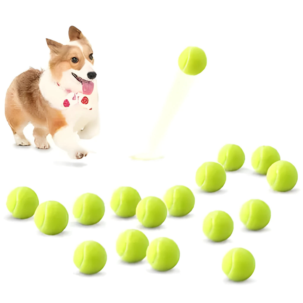 Bite-resistant rubber dog tennis ball in 6.3cm size showing bright colour options