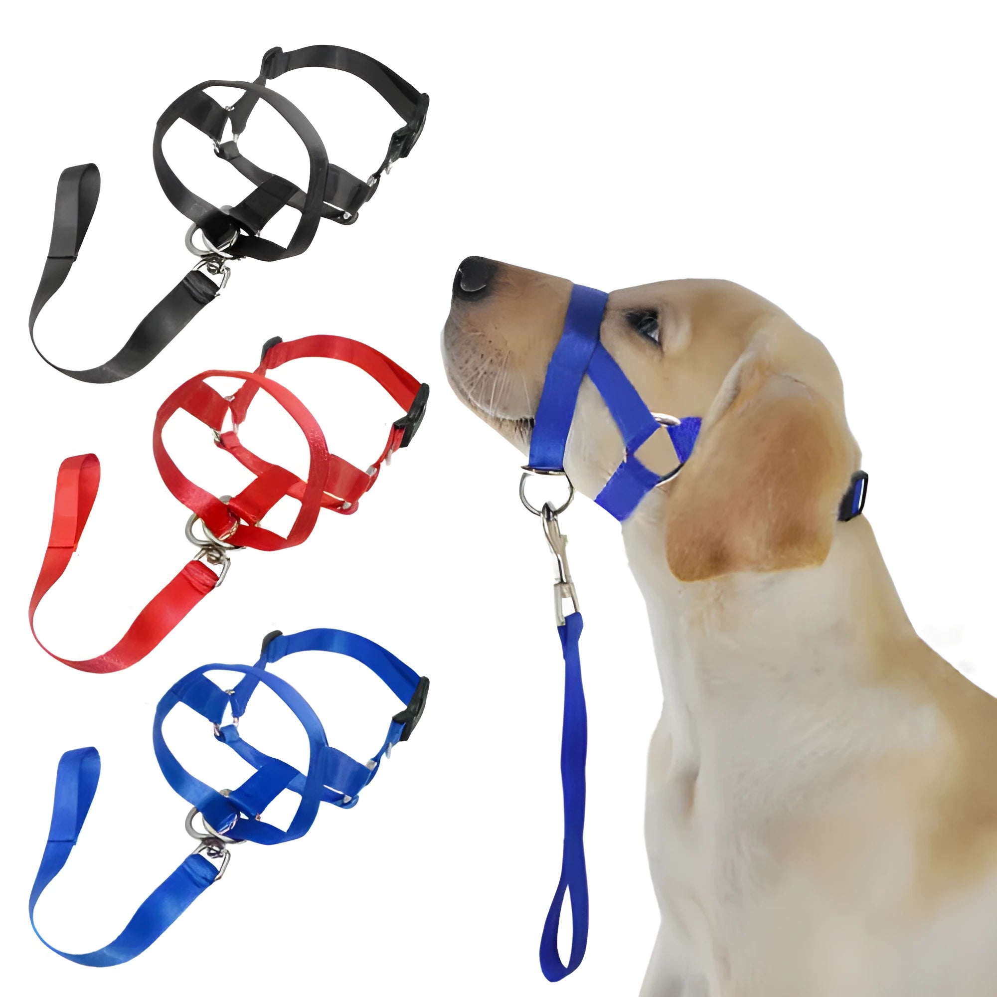 Nylon dog muzzle in black, blue, and red, with five sizes from S to XXL