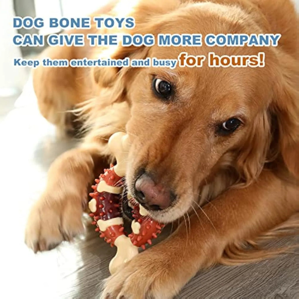 Natural rubber bone-shaped dog molar toy for teeth cleaning and anxiety relief in two size options