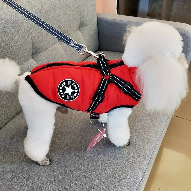 Waterproof dog coat with integrated harness in red colour on Labrador dog