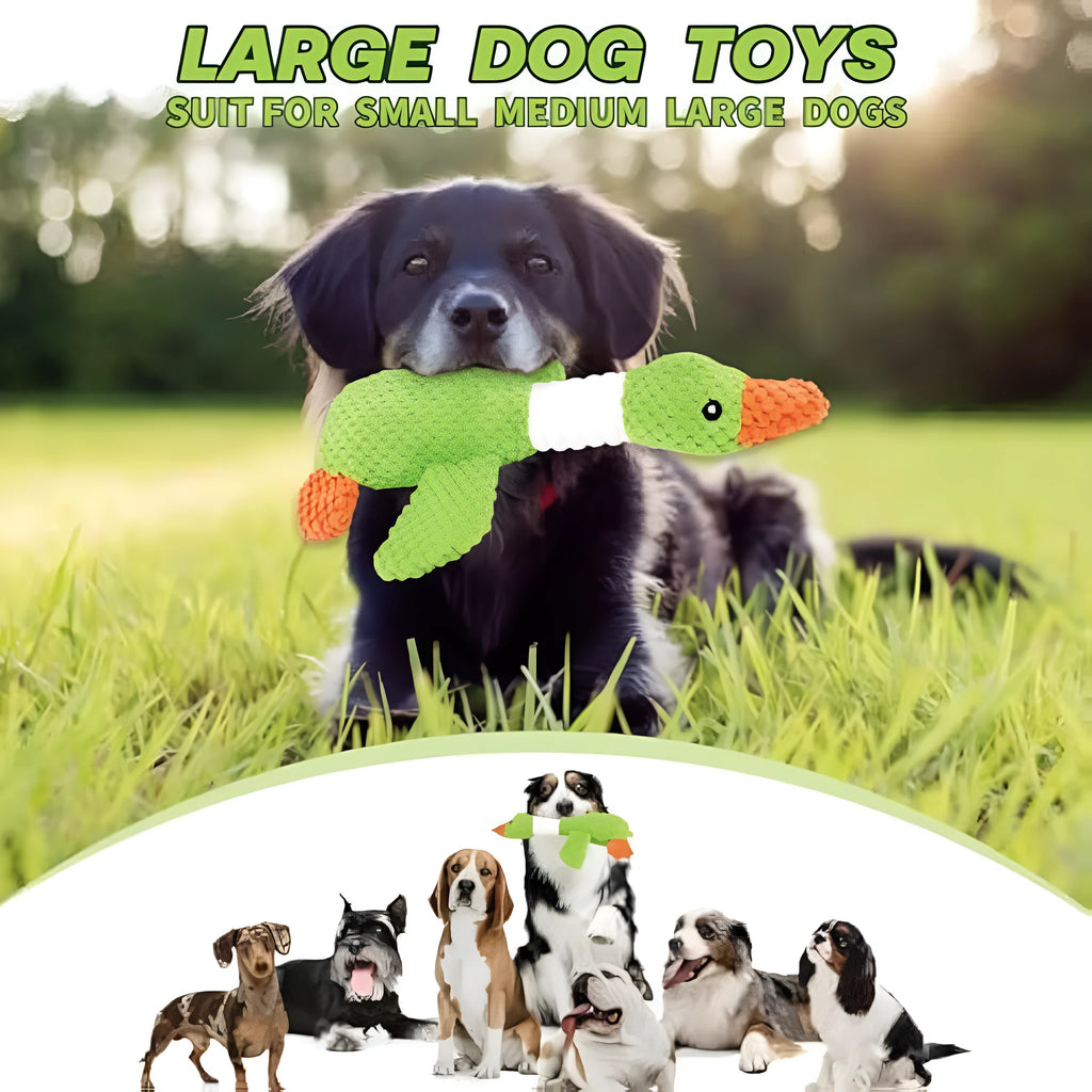 Blue durable duck plush dog toy with squeakers for chewing and interactive play