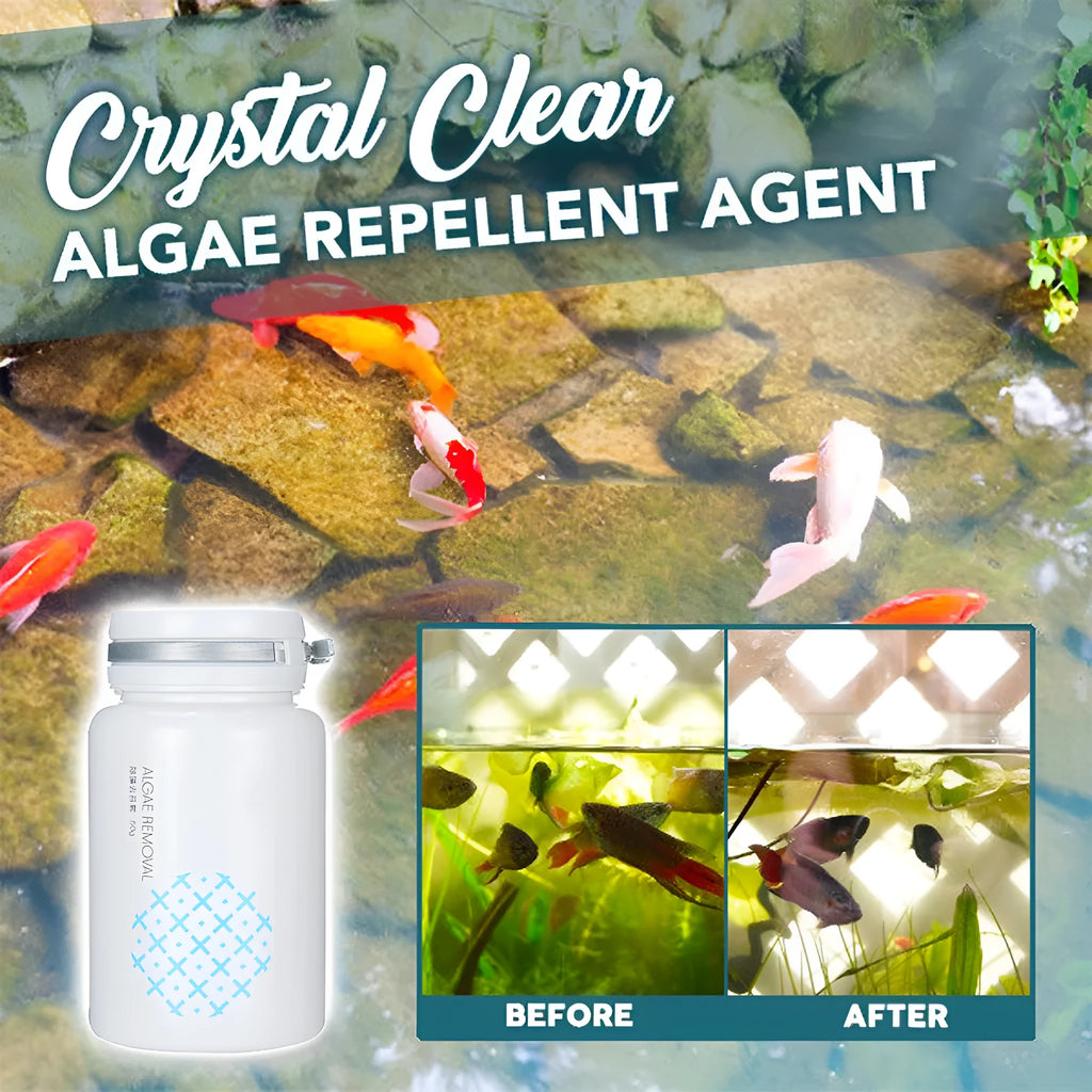 50g swimming pool algaecide treatment for algae and moss removal in pools and aquariums
