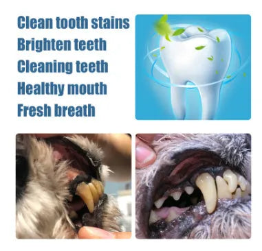 Pet teeth whitening pen with dual-tip brush for dog and cat dental care application