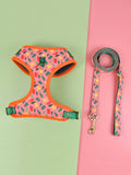 Polyester chest-back haulage rope for dogs in six colours with adjustable straps