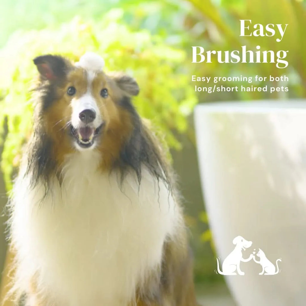 Blue self-cleaning pet grooming slicker brush with ergonomic rubber handle on a table