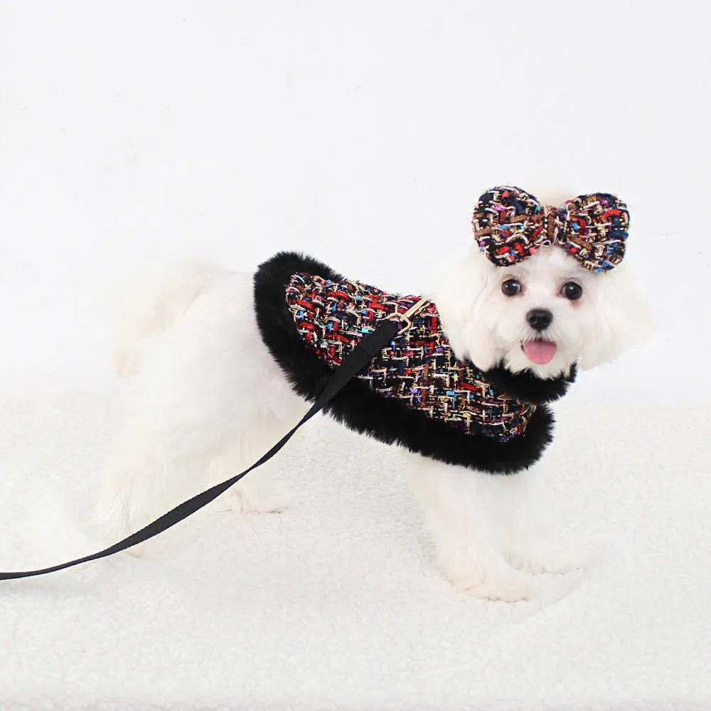 Dog wearing a decorative cloak with a chest strap and attached lead rope