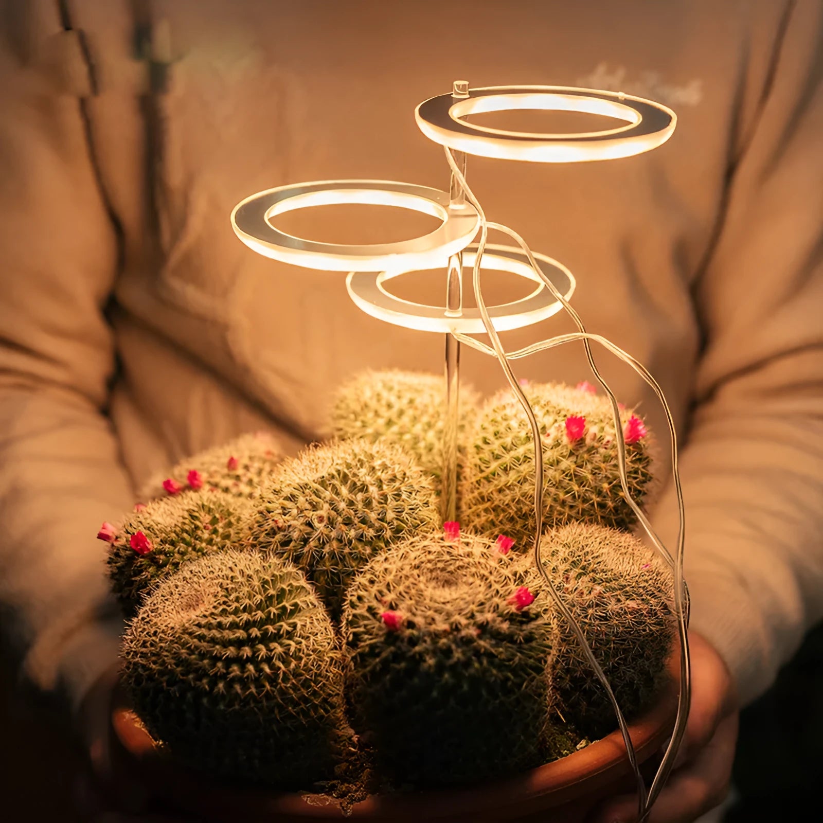 USB-powered LED plant grow light with acrylic stick in pink/white or yellow.