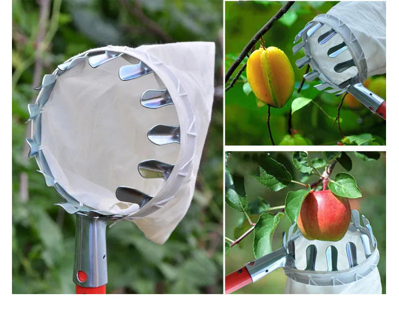 Steel-framed fruit picker with a cloth bag for catching citrus, pears and peaches.