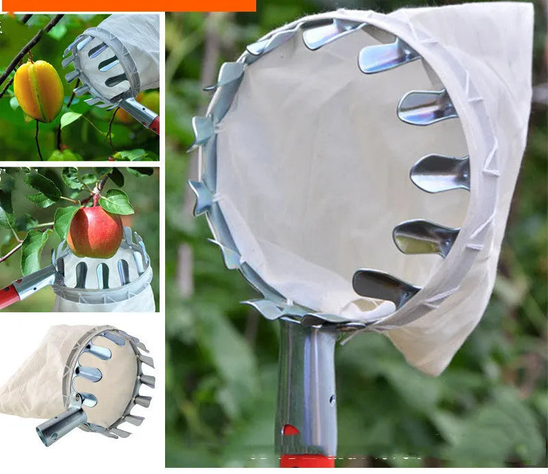 Steel-framed fruit picker with a cloth bag for catching citrus, pears and peaches.