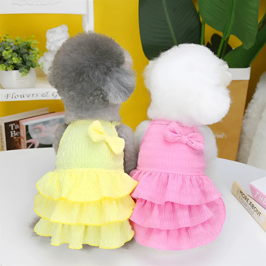 Small dog wearing princess-style dress with candy layered skirt in polyester fabric
