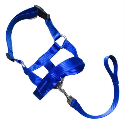 Nylon dog muzzle in black, blue, and red, with five sizes from S to XXL