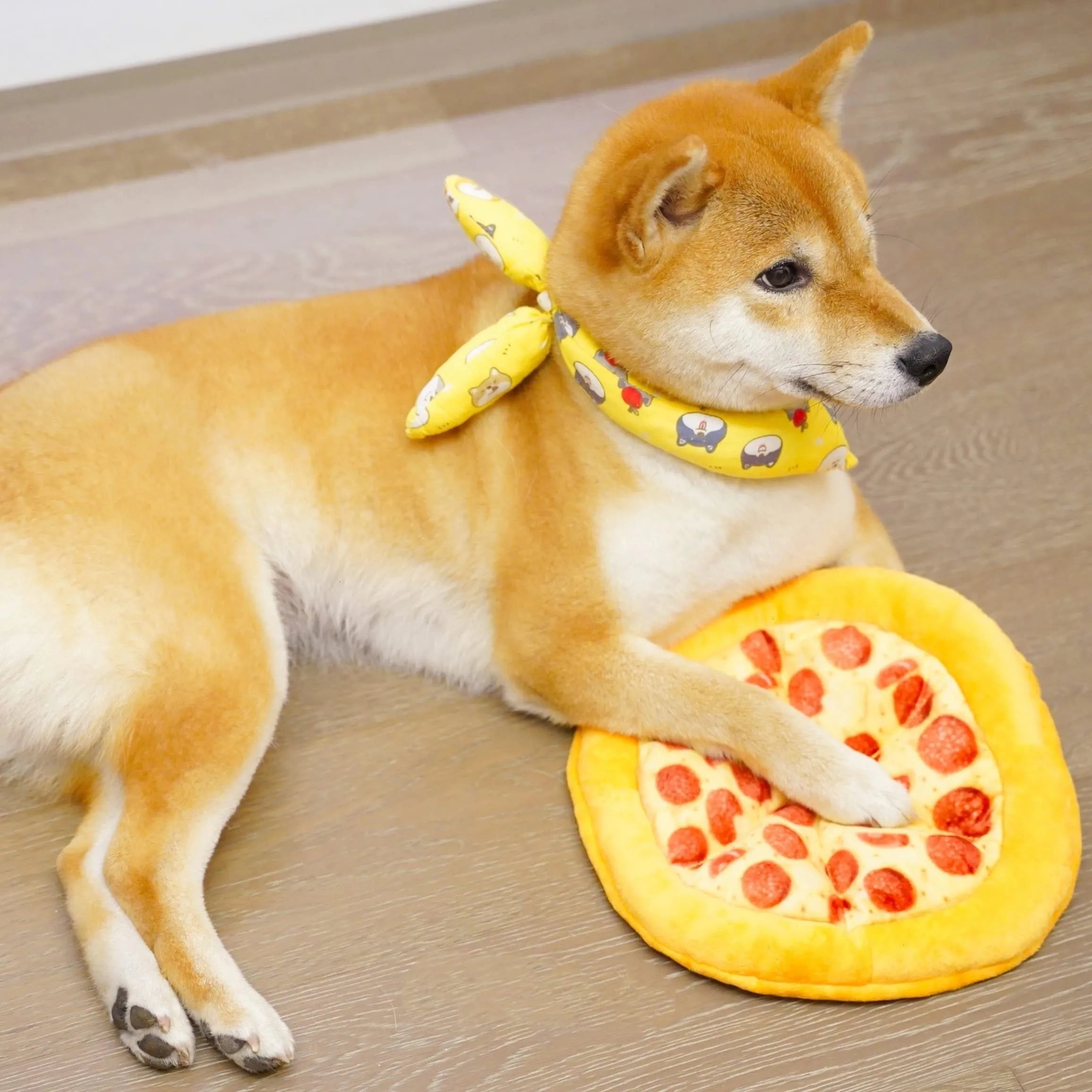Yellow pizza and teddy bear dual-design dog chewing toy with squeaker