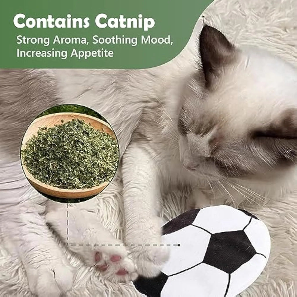 Plush flying disc cat toy with sports ball pattern measuring 5x5x2cm
