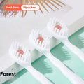 Box containing 20 disposable bead toothbrushes in mint, peach, plum green tea, or mixed flavours.