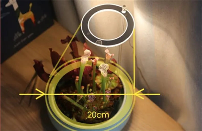 USB-powered LED plant grow light with acrylic stick in pink/white or yellow.