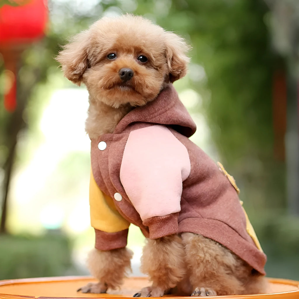 Brown cotton pet sweatshirt for a small dog on a sofa.