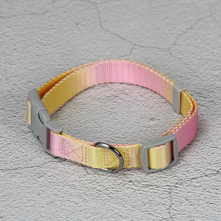 Gradient colour nylon dog leash in pink and blue gradient design