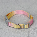 Gradient colour nylon dog leash in pink and blue gradient design