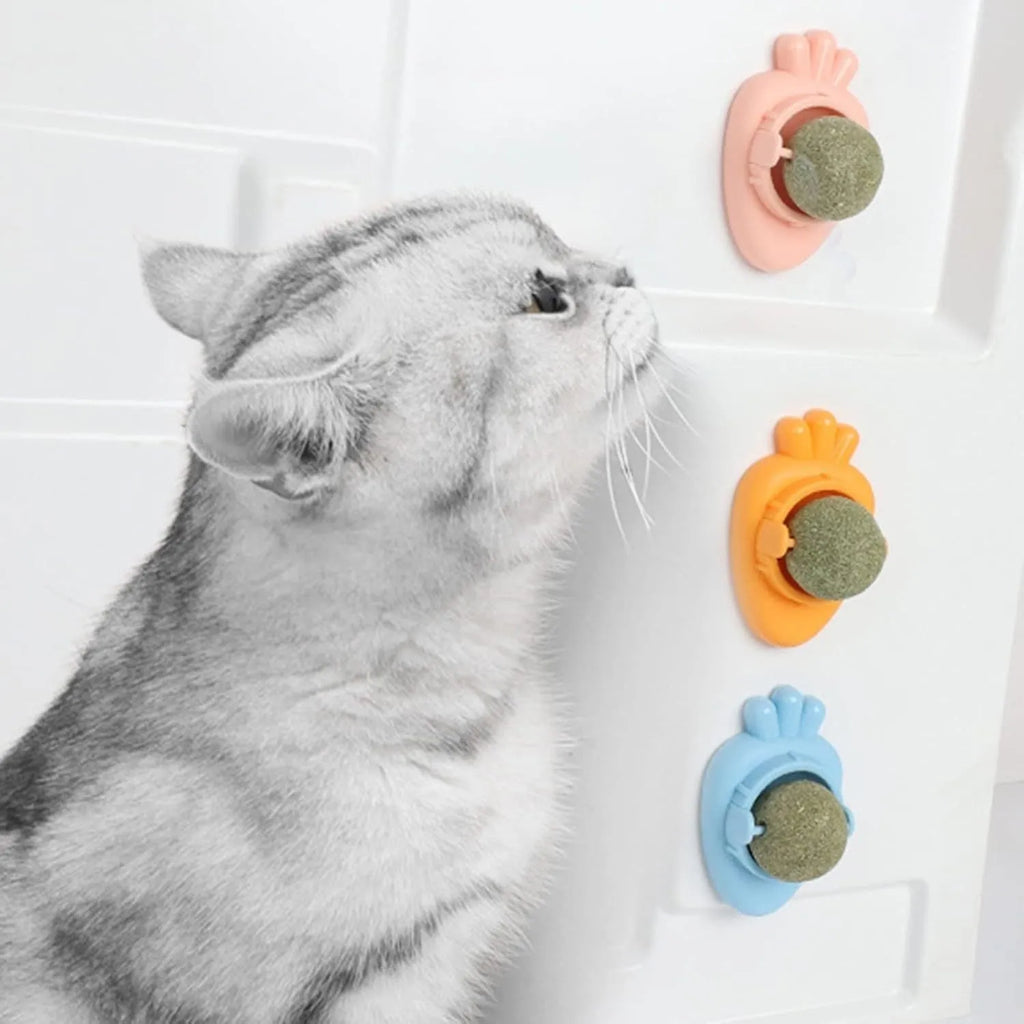 Blue carrot-shaped catnip ball toy with self-adhesive sticker for wall mounting and teeth cleaning