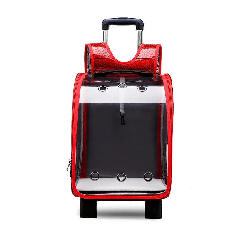 Transparent pet trolley bag with folding shoulder design for small dogs and cats