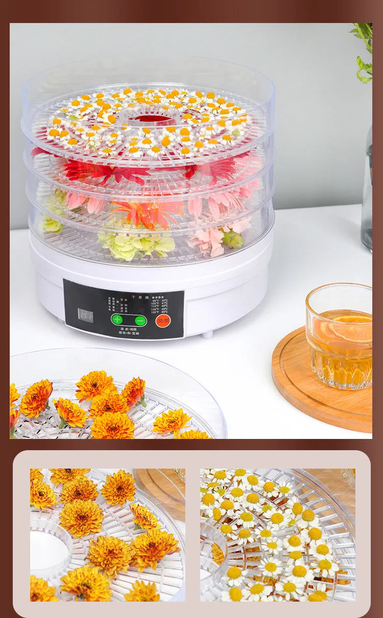 Five-tray household fruit dehydrator with removable shelves on kitchen counter