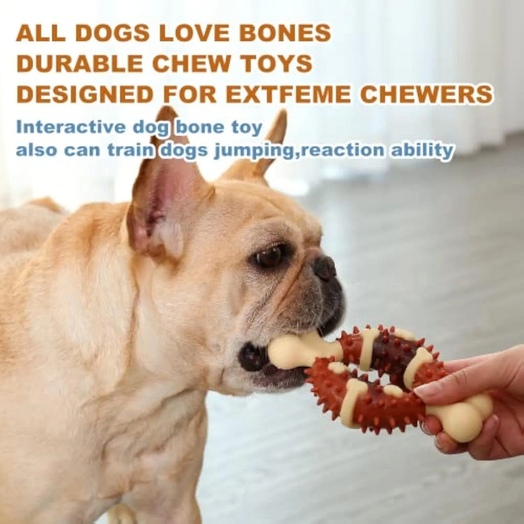 Natural rubber bone-shaped dog molar toy for teeth cleaning and anxiety relief in two size options